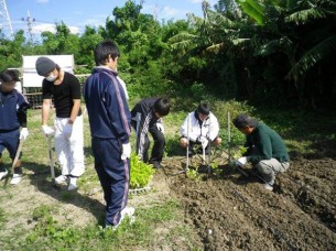 ゆめさき農園　農場風景【11月】_04