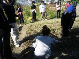 ゆめさき農園　農場風景【12月】_07
