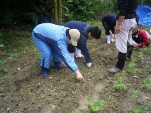 ゆめさき農園　農場風景【12月】_11